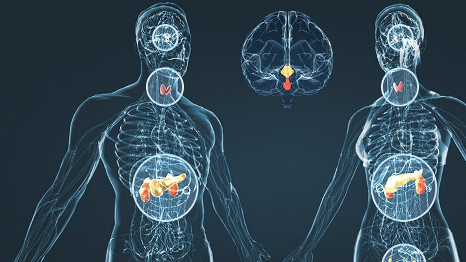 راه‌های حفظ تعادل هورمون جنسی