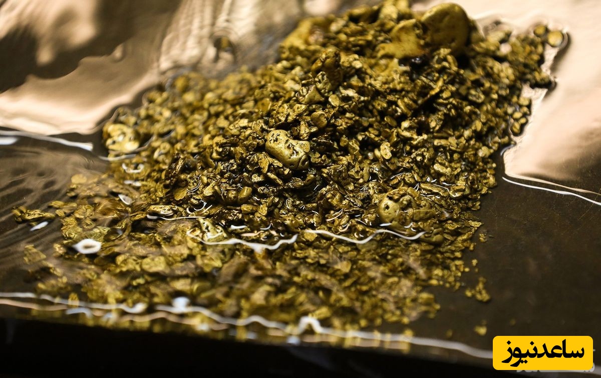 طلا و نقره در چاه های فاضلاب سوئیس!