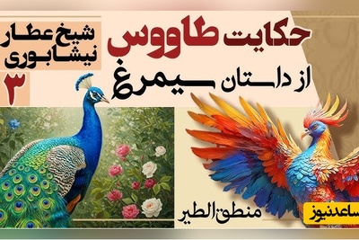 داستان‌های کوتاه و زیبایی که باید بشنوید/ منطق الطیر عطار، بخش 3؛ شکوه و زینت خیره‌کننده طاووس و دانش هُدهُد/ حکایت رانده شدن آدم از بهشت
