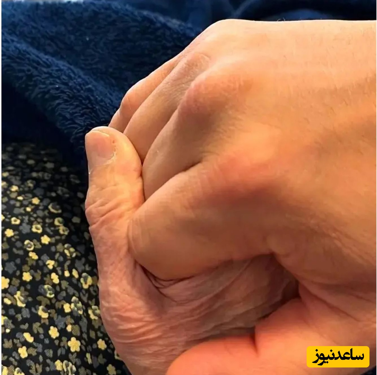 دستهای مادر کوروش سلیمانی