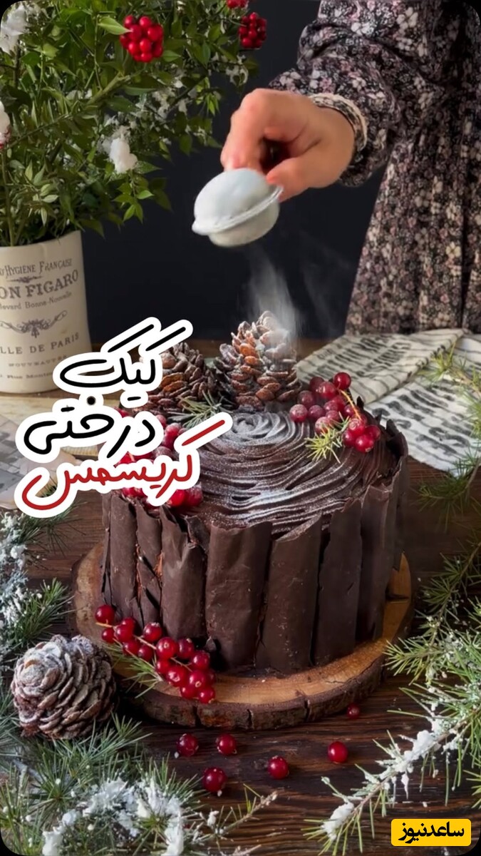 طرز تهیه کیک درخت کریسمسی چوبی، یکی از ضروری های زمستان / مطمعنا همه عاشق این کیک خوشگلت میشن + ویدئو