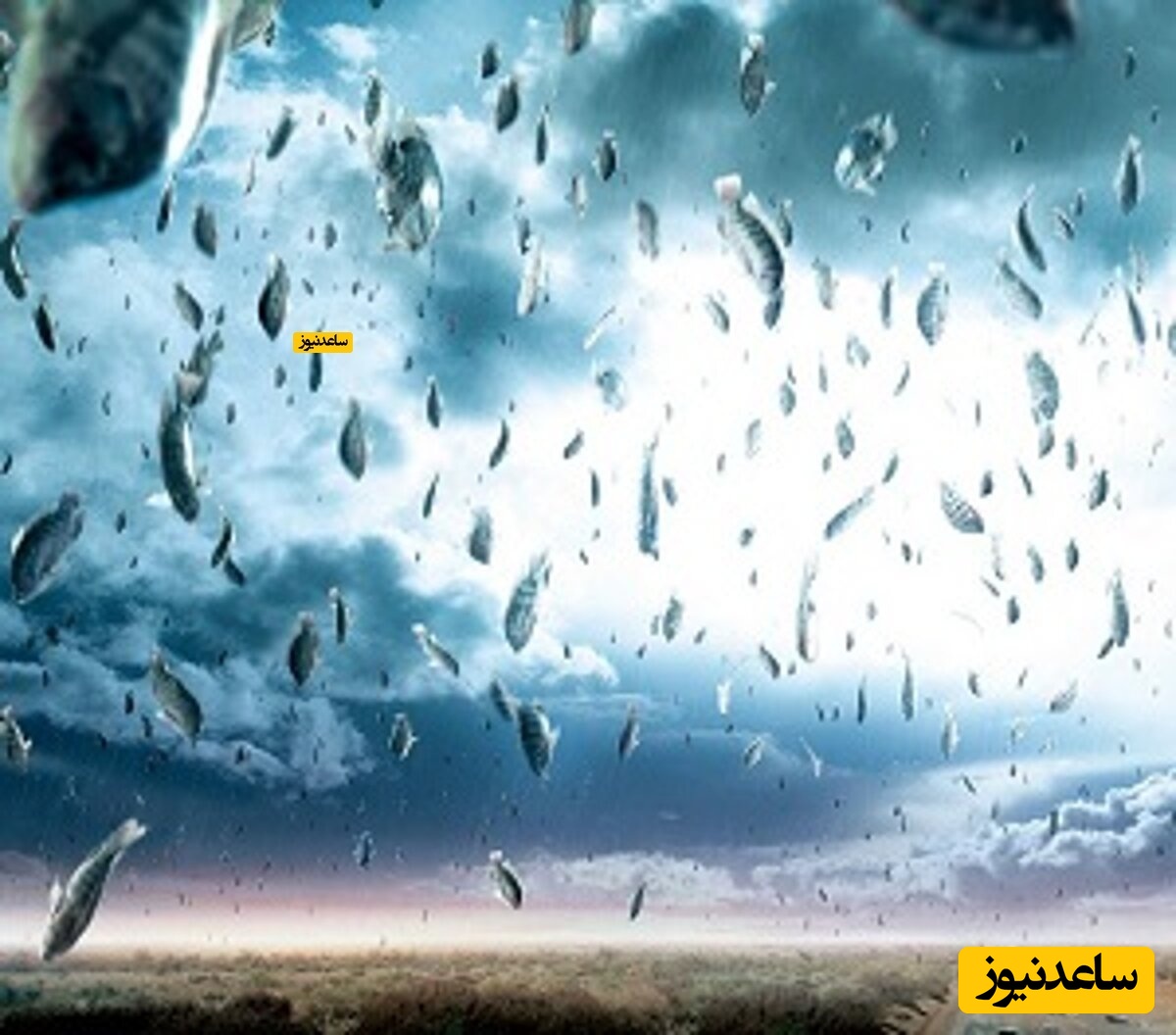 بیابان خشکی که از آسمانش ماهی می‌بارد!