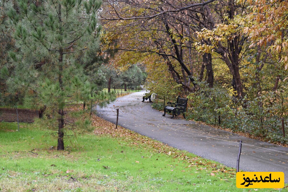 باغ گیاه شناسی
