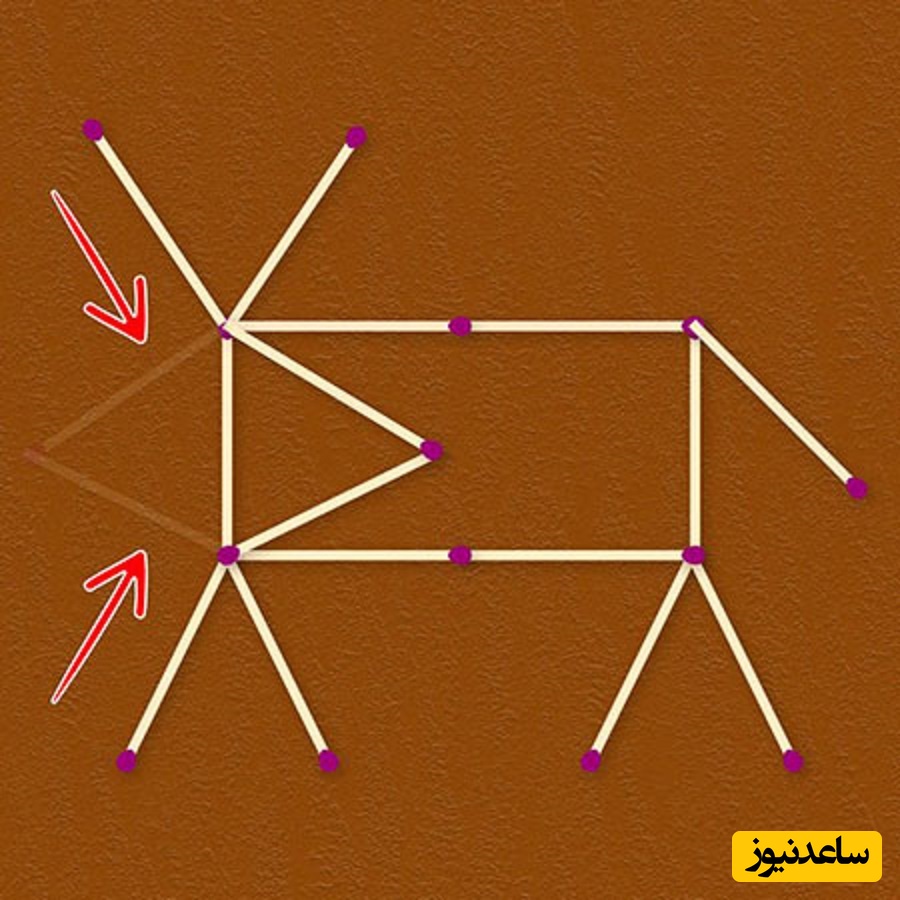پاسخ