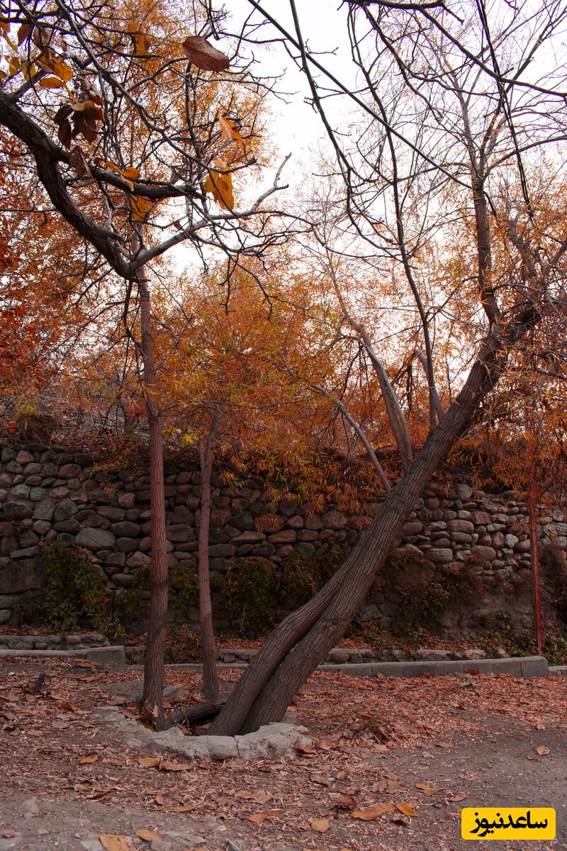 کوچه باغ کن