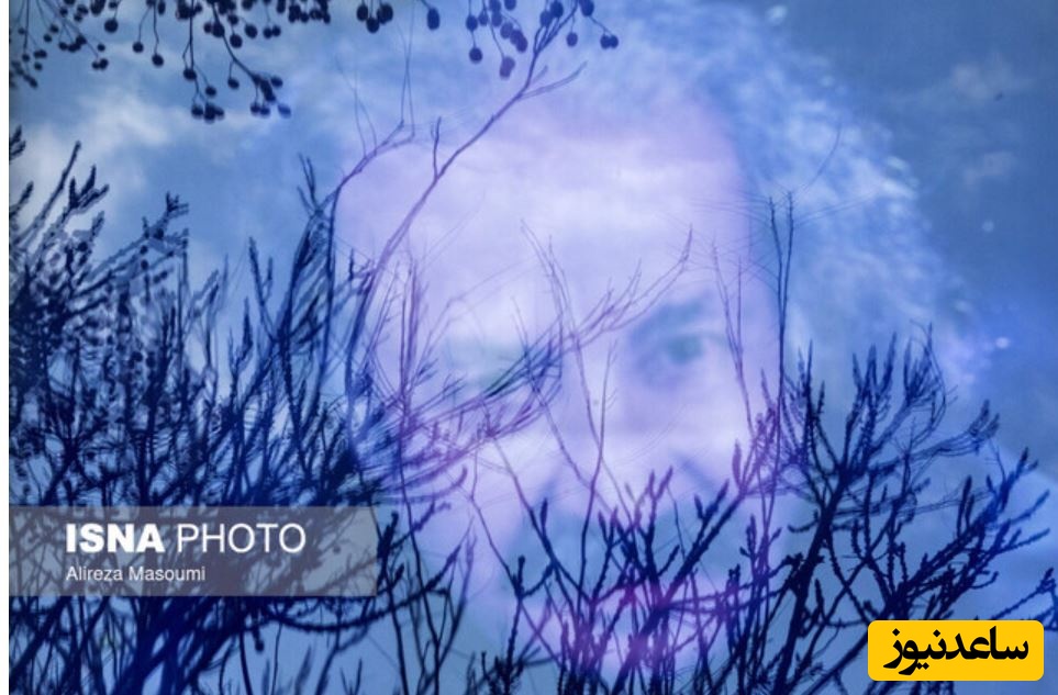 سعید پیردوست