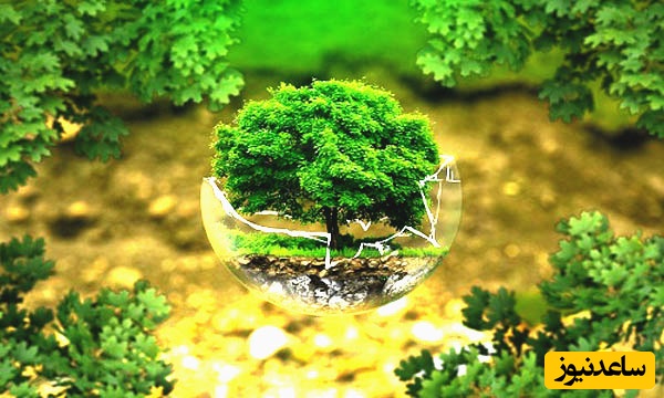 دانلود رایگان دفترچه سوالات و پاسخنامه آزمون کارشناسی ارشد مهندسی منابع طبیعی - چوب از سال 94 تا 96