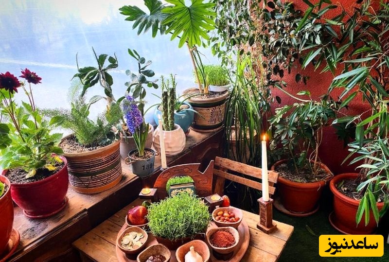 منزل شبنم مقدمی