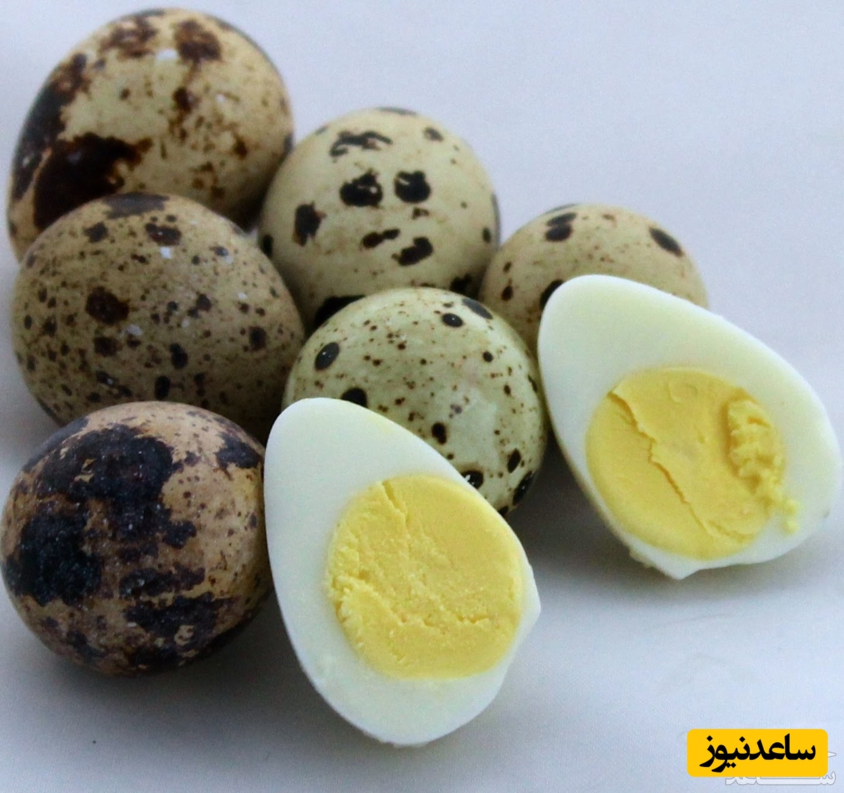 تخم بلدرچین