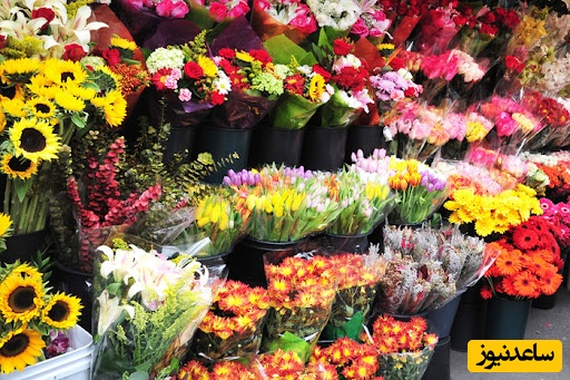 ویدئو حال خوب کن از یک گل‌فروش سیار در اصفهان