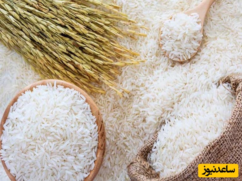 انتخاب برنج
