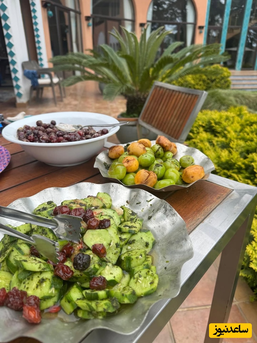 ویلای مینا مختاری