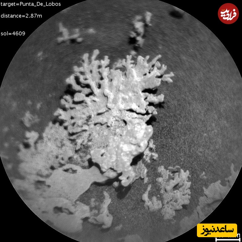  تصویری از این سنگ که توسط دوربین میکروسکوپی از راه دور مریخ‌نورد کنجکاوی ثبت شده است