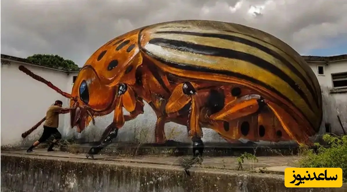 شاهکارهای خلاقانه سه‌بعدی نقاش پرتغالی که بتن هل را به آثار هنری تبدیل می‌کند/ هنر خیابانی فقط همین و تمااام