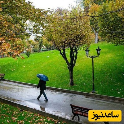 (عکس) هنرنمایی عجیب شهرداری مشهد در یک پارک! / پارکه یا تونل وحشت؟! / شب ها به این پارک نروید ...