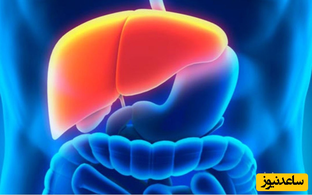 درمان سرطان کبد کشف شد