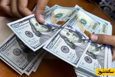 توزیع دلار با کارت ملی؛ چرا این تصمیم بانک مرکزی صدای منتقدان را درآورد؟