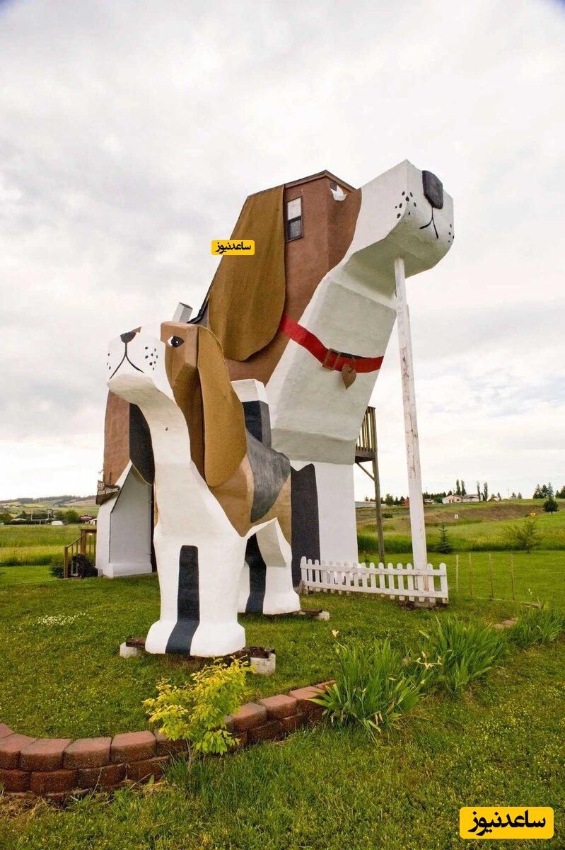 عجیب ترین طراحی پلان معماری که با دیدن آن شاخ در می آورید!