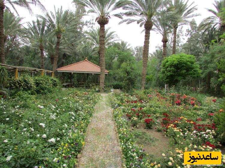 معرفی جاذبه های گردشگری و جاهای دیدنی بافق+ عکس