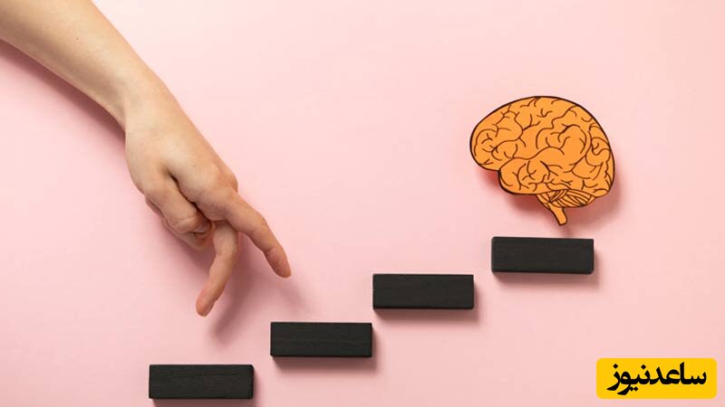 راهنمای جامع موفقیت در آزمون تیزهوشان پایه ششم