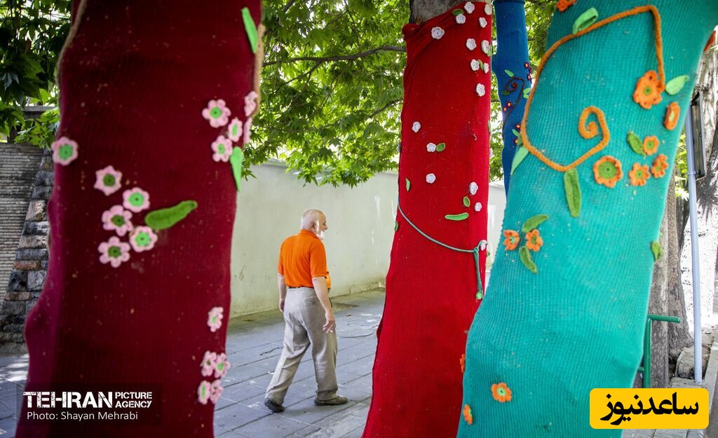 خلاقیت شهرداری برای تغییر نمای درختان خشکیده در سطح شهر+عکس