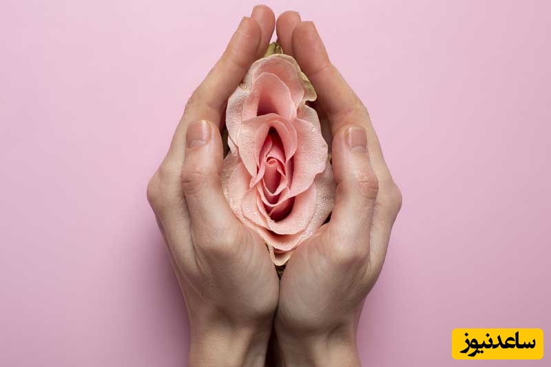 راهنمای کامل سلامت واژن؛ 7 نشانه کلیدی که هر زنی باید بداند