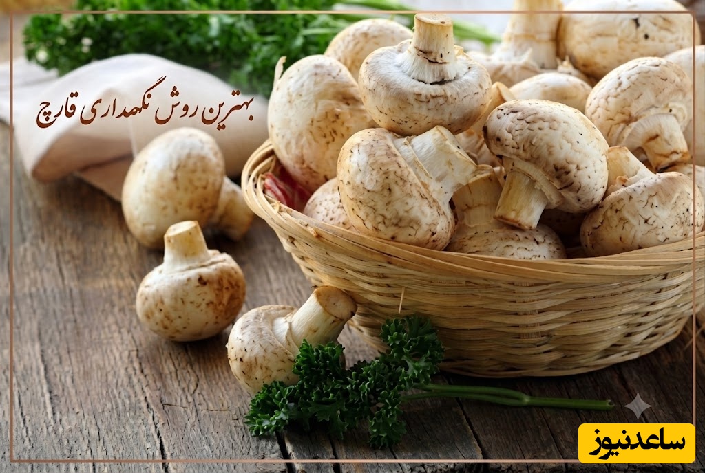 قارچ‌هایتان زود خراب می‌شوند؟ این ترفند، ماندگاری آن را چند برابر و طعمش را حفظ می‌کند + عکس