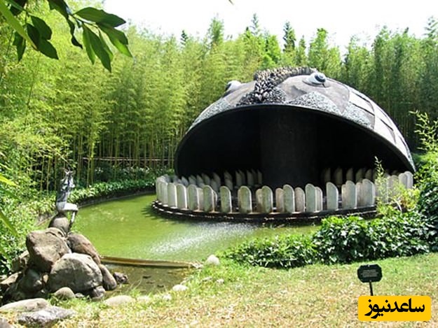 پارک پینوکیو