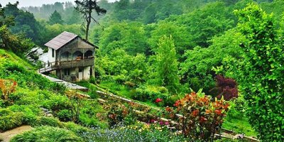 چرا باغ گیاه‌شناسی باتومی یکی از زیباترین جاذبه‌های گرجستان است؟ هر آنچه باید قبل از بازدید بدانید