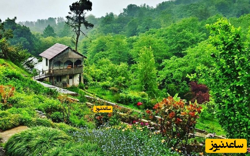 معرفی باغ گیاه‌ شناسی باتومی و جاذبه های آن