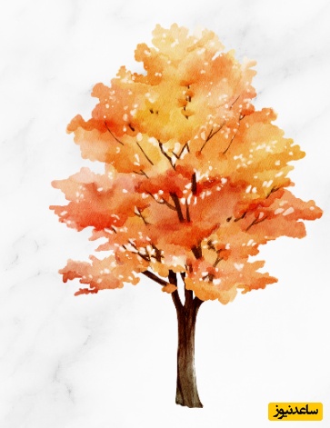 درخت پاییزی