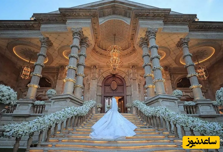 صاحبان این شغل سودآور در ایران ورشکست شدند!+ویدیو