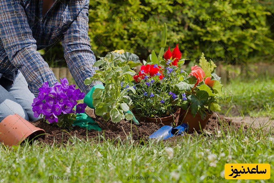 خلاقیت میخکوب‌کننده هنرمندی که از یک چتر کهنه باغچه‌ای پر از گل ساخت/ درست مثل نقاشی‌های بچگی پر از رنگ و حال خوبه اینجا