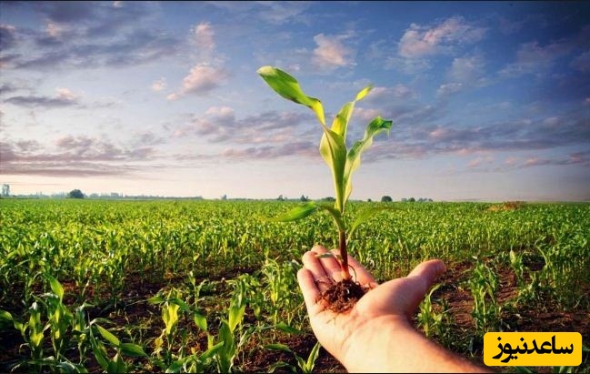 دفترچه راهنمای انتخاب رشته آزمون ورودی دکترای 97 گروه کشاورزی و علوم طبیعی