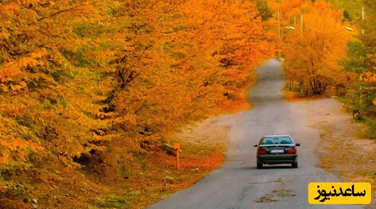 جنگل‌های ارسباران