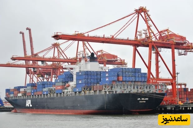 آشنایی با رشته مدیریت و بازرگانی دریایی و بازار کار آن