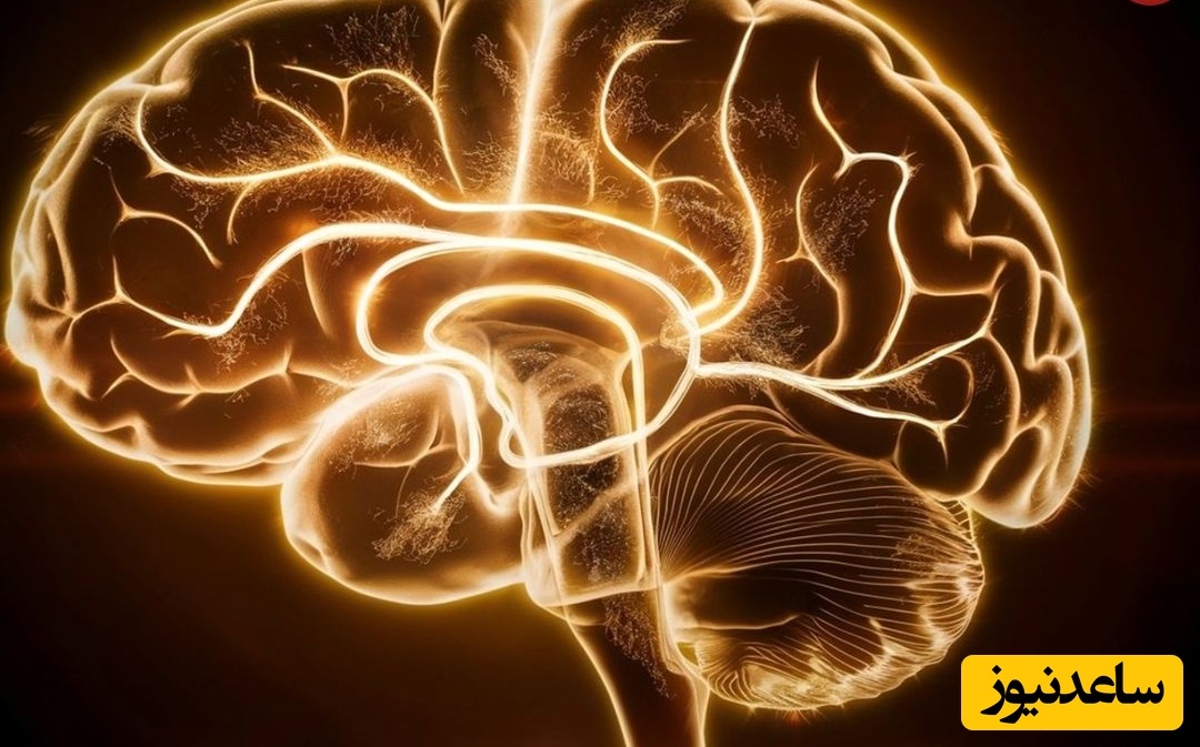دانشمندان می‌گویند مغز انسان «نور» تولید می‌کند