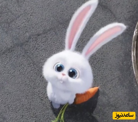 معما تصویری | فقط 5 درصد از افراد می‌توانند این معما را درست حل کنند!/ اگه توام جزو افراد باهوشی زیر 10 ثانیه خرگوش را پیدا کنید!