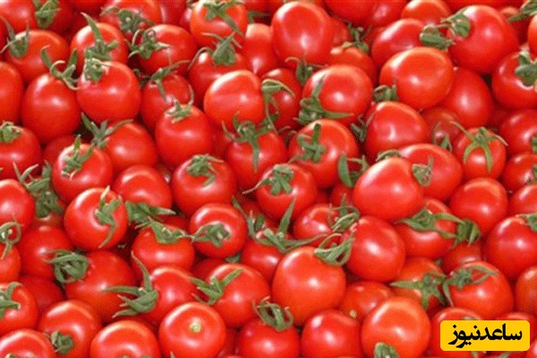 دیدن خوردن گوجه فرنگی در خواب چه تعبیری دارد؟ / تعبیر خواب گوجه فرنگی