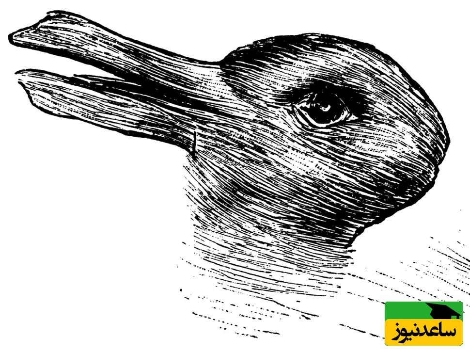 خطای دید