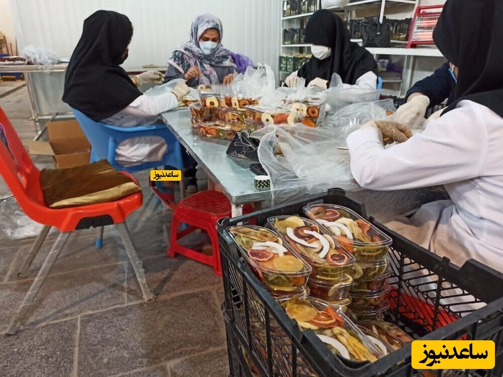 صنعت میوه خشک