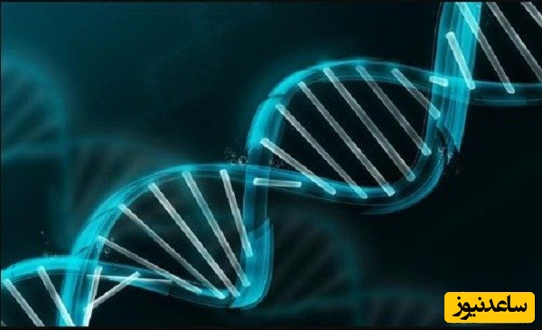 منابع دروس آزمون رشته زیست شناسی - سلولی و مولکولی و ضرایب آن در مقطع دکتری