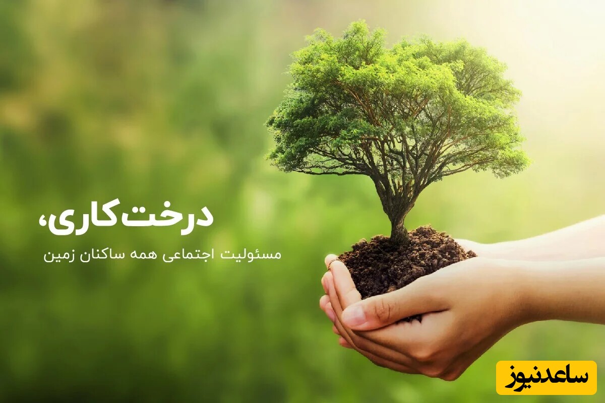 روز درختکاری