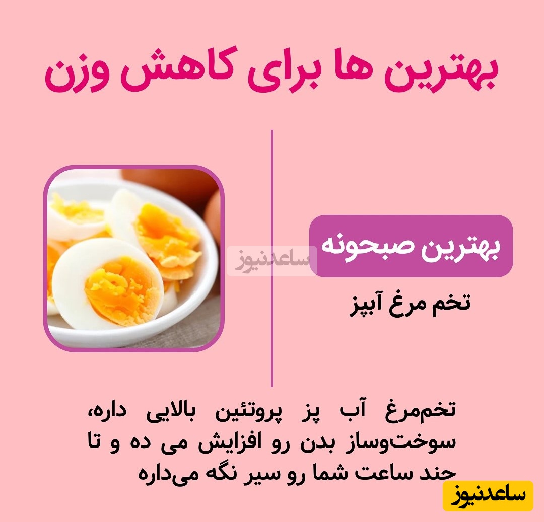 تغذیه