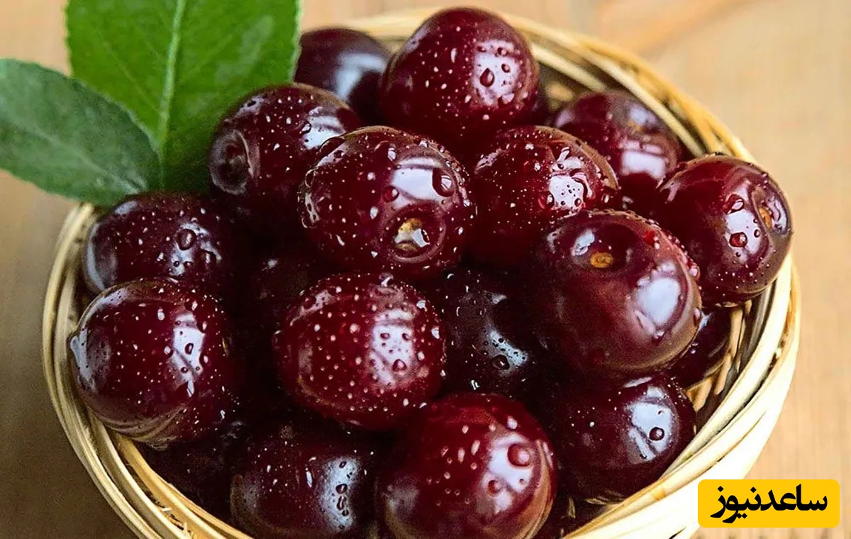 7 روش آسان برای جدا کردن هسته آلبالو با ابزارهای ساده خانگی (بدون نیاز به دستگاه)