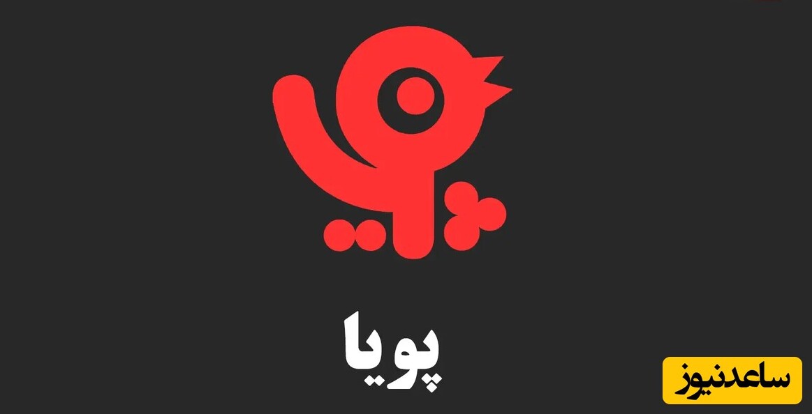 شبکه پویا