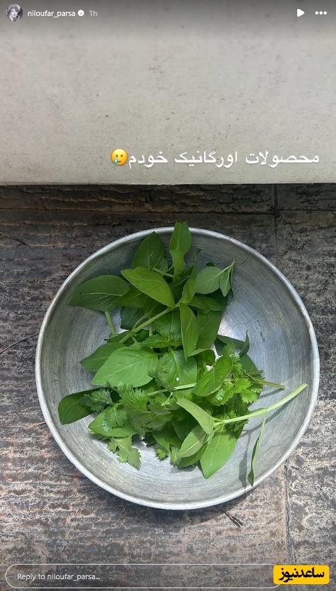 محصولات باغچه نیلوفر پارسا