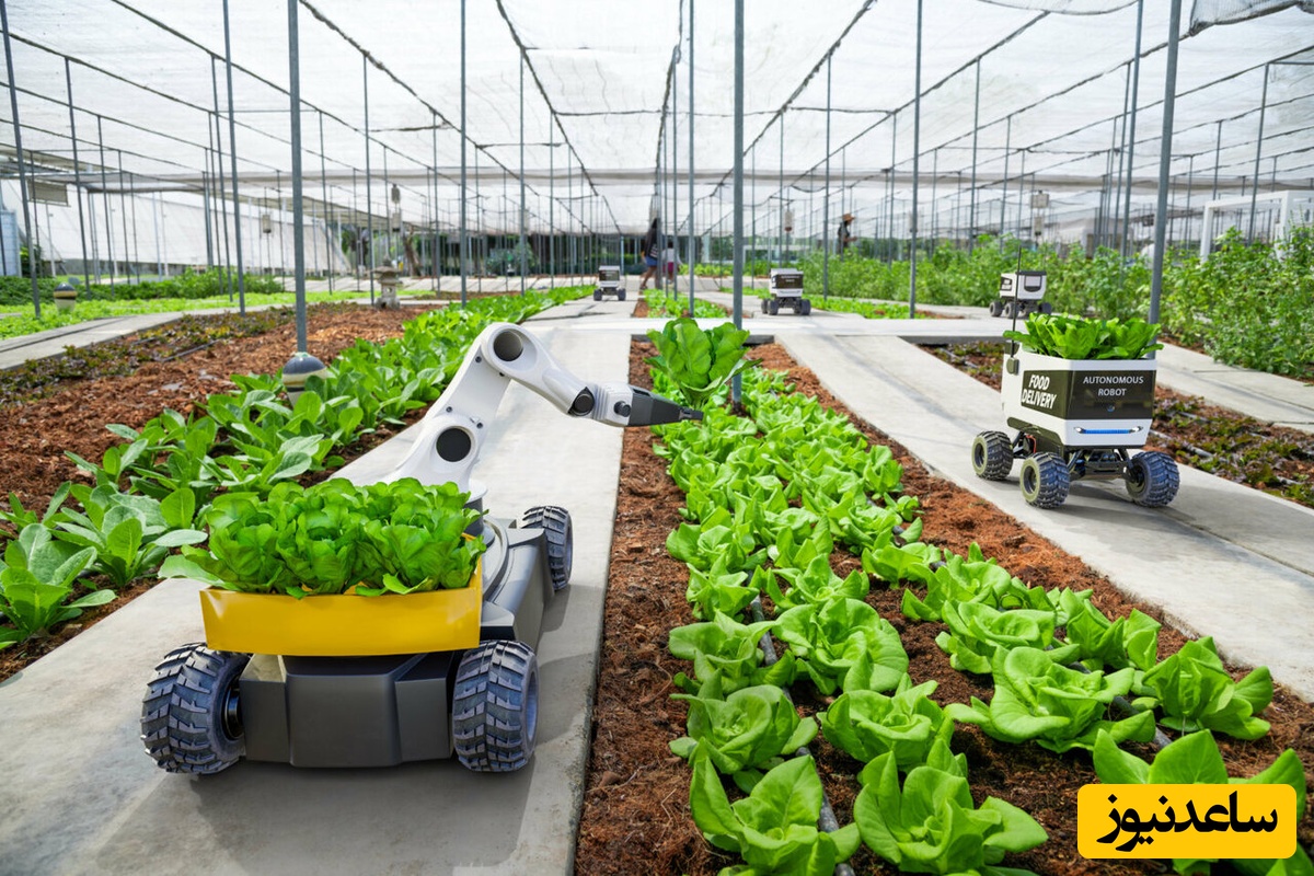 دانلود رایگان دفترچه سوالات و پاسخنامه آزمون کارشناسی ارشد ترویج و آموزش کشاورزی از سال 94 تا 96