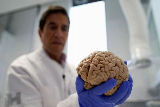 کشف 10هزار مغز انسان در یک زیرزمین! +عکس
