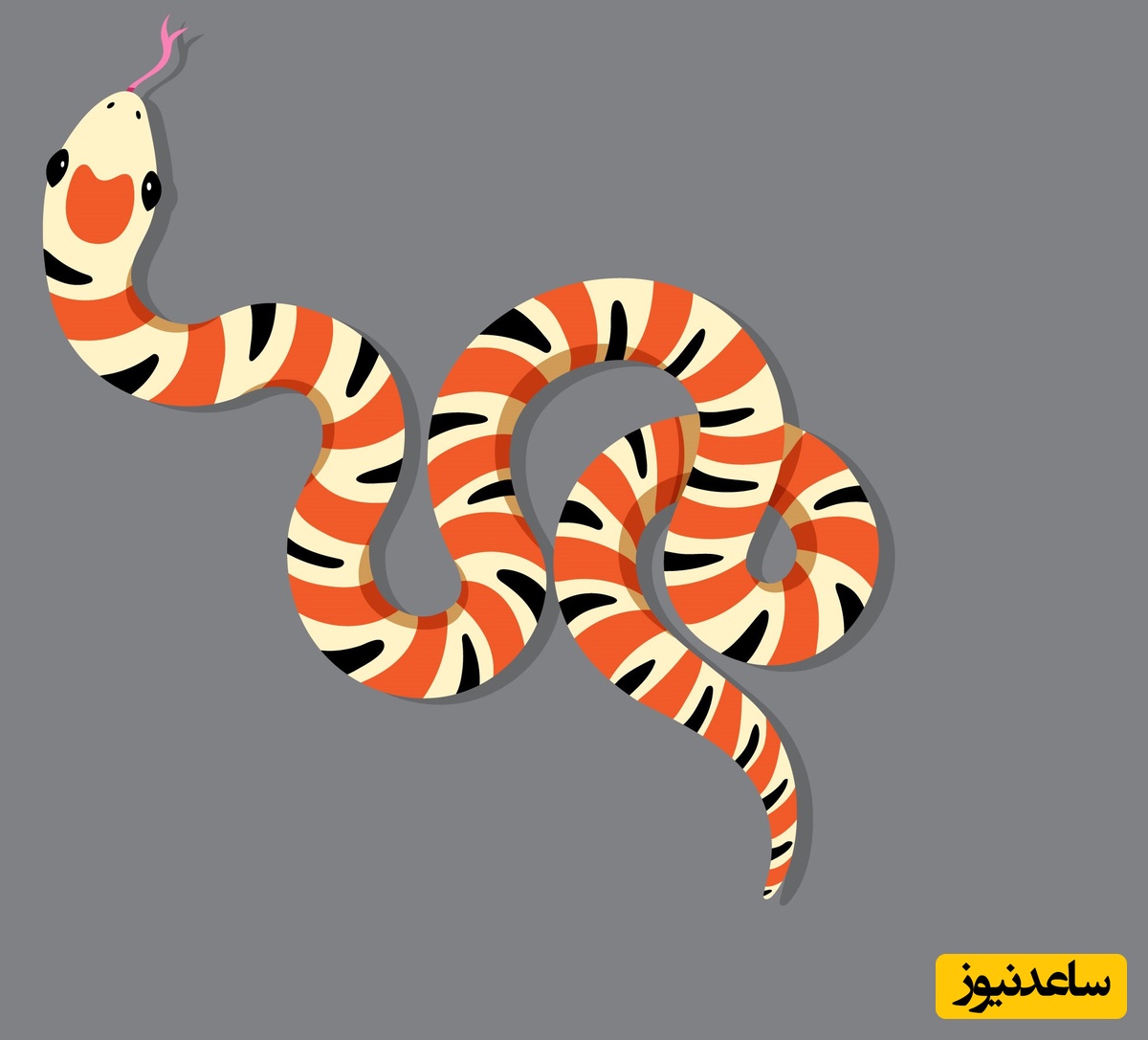 مار رو دیدی؟ چالش 10 ثانیه‌ای که میلیون‌ها نفر توش گیر کردن! 👀